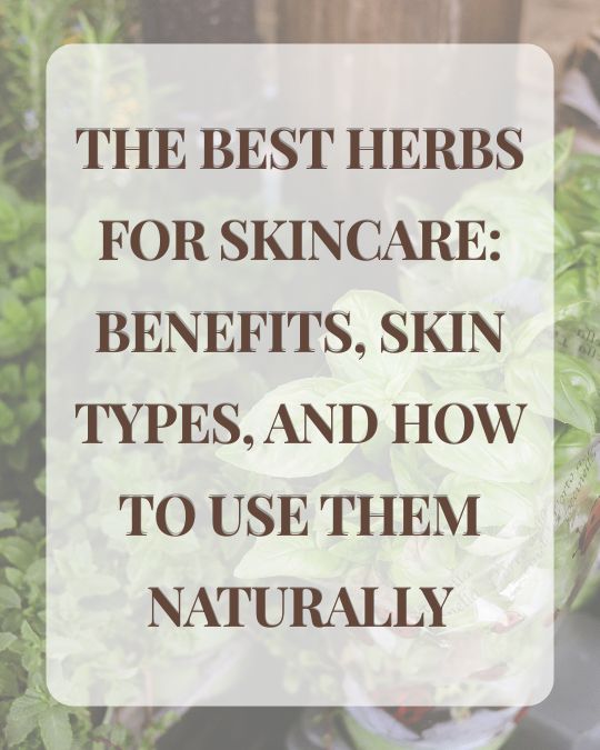 The Best Herbs for Skincare: Benefits, Skin Types, and How to Use Them Naturally