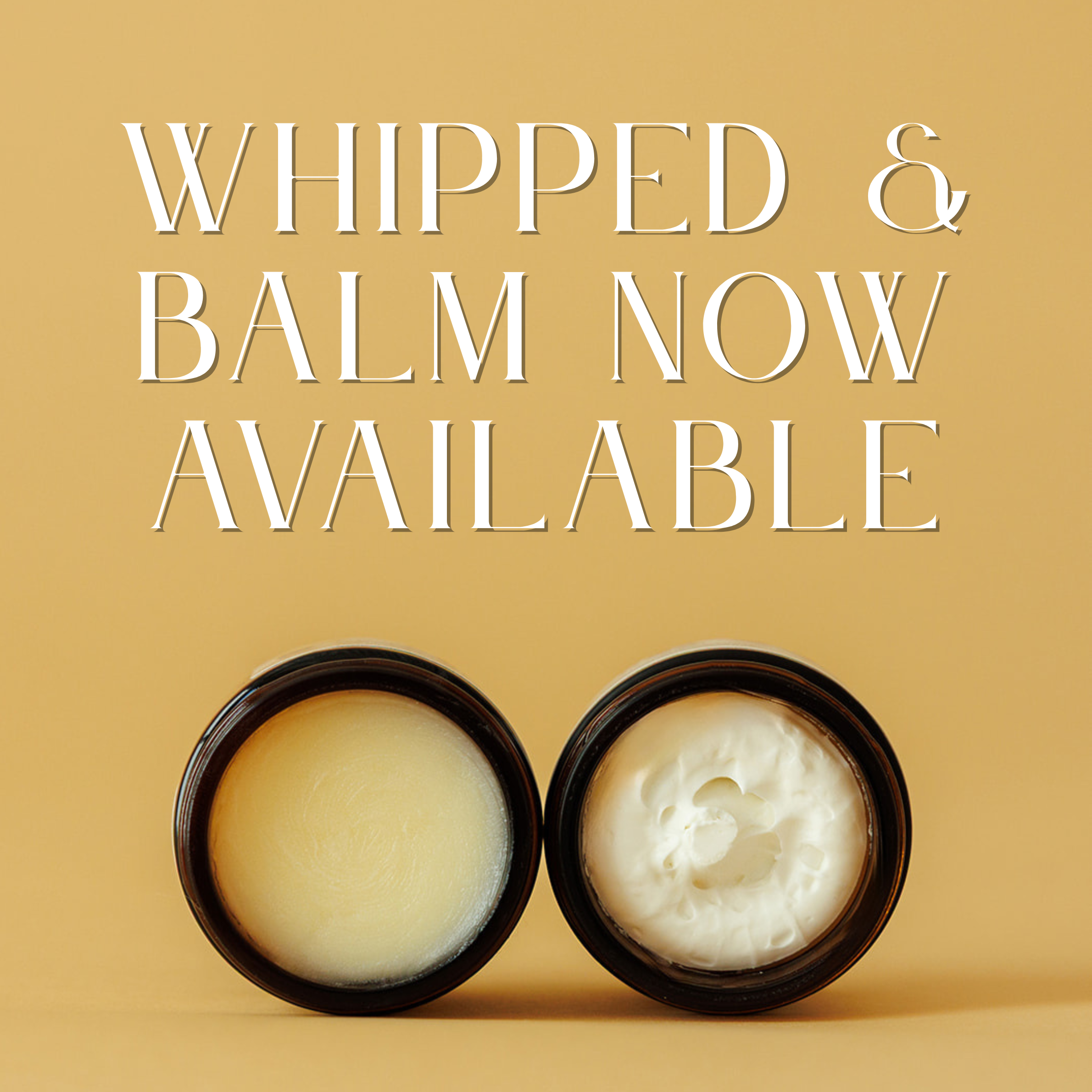 Unscented Tallow Balm ( Whipped & Balm)