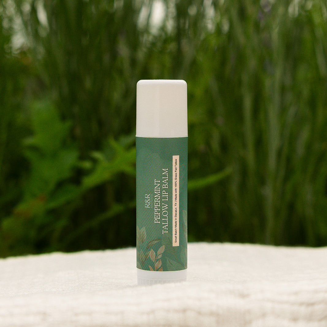 Tallow Lip Balm Bundle